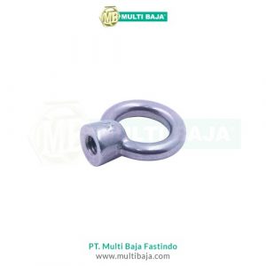 Eye Nut