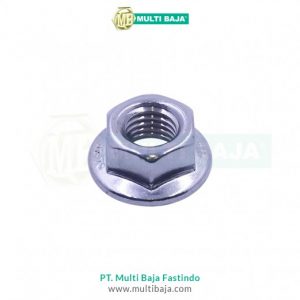 Mur Flange (Flange Nut) DIN 6923