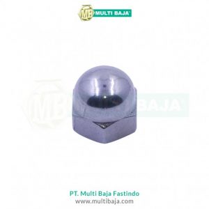 Mur Topi (Cap Nut) JIS B1183