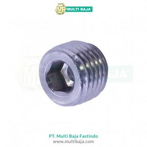 Socket Pressure Plug DIN 906