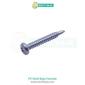 Baut Roofing (Pan Head Self Drilling Screw)