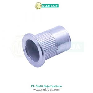 Mur Rivet (Rivet Nut)